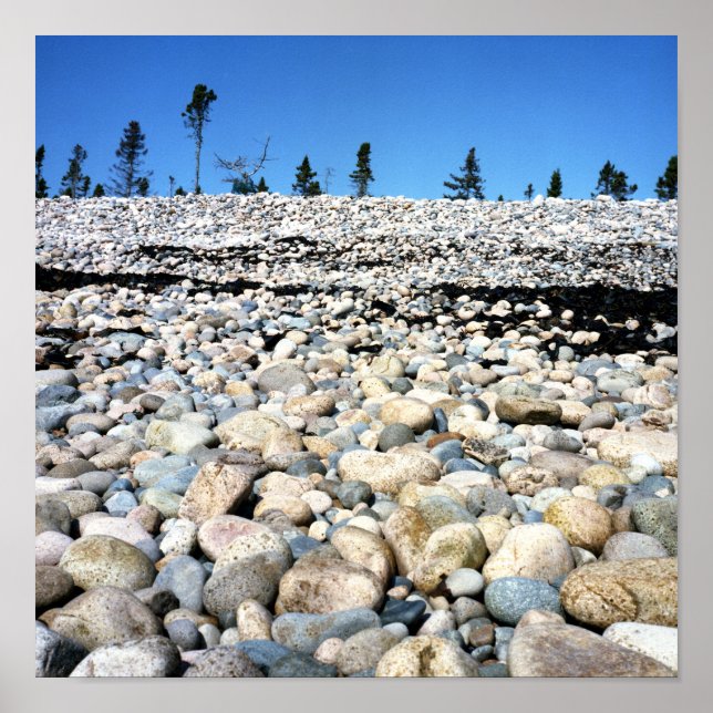 Rocky Beach Scene Poster (Framsidan)