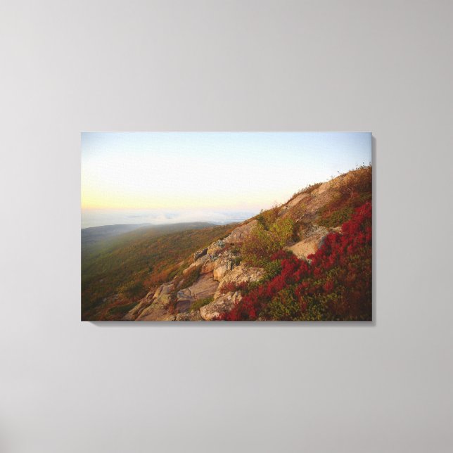 Rocky Hillside, Red Flowers, Acadia National Park Canvastryck (Framsida)