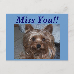 Rocky "Miss You!"! Vykort