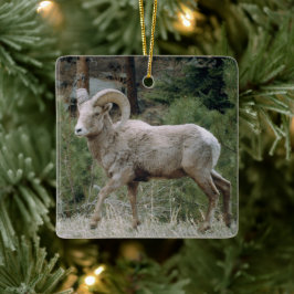 Rocky Mountain Big Horn Sheep Ceramic Ornamic Julgransprydnad Keramik