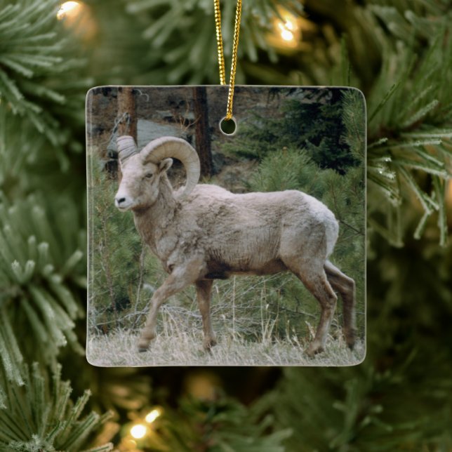 Rocky Mountain Big Horn Sheep Ceramic Ornamic Julgransprydnad Keramik (Träd)