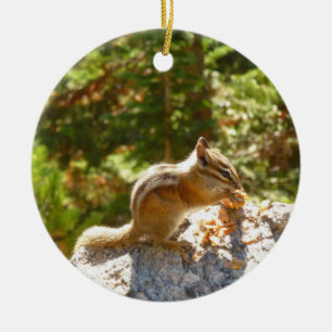 Rocky Mountain Chipmunk Julgransprydnad Keramik