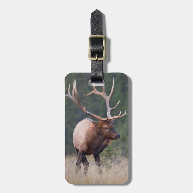 Rocky Mountain Elk Bagagebricka (Vertikal Framsida)