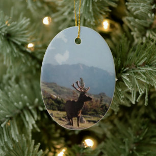 Rocky Mountain Elk Ceramic Ornament