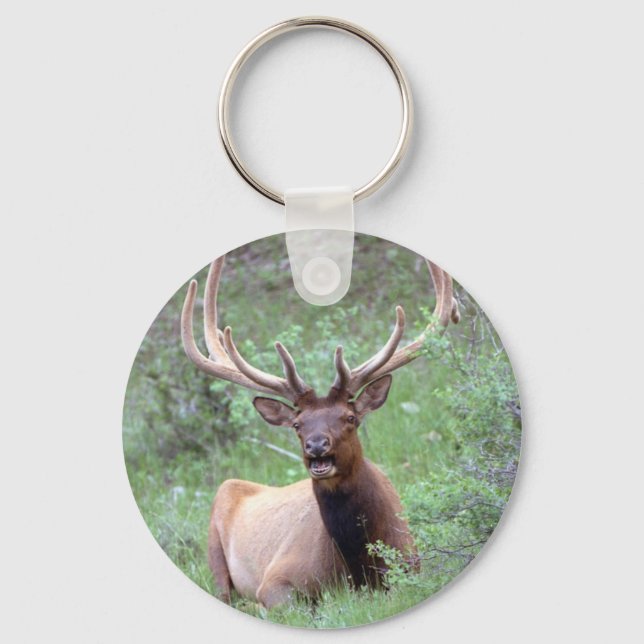 Rocky Mountain Elk Nyckelring (Framsida)