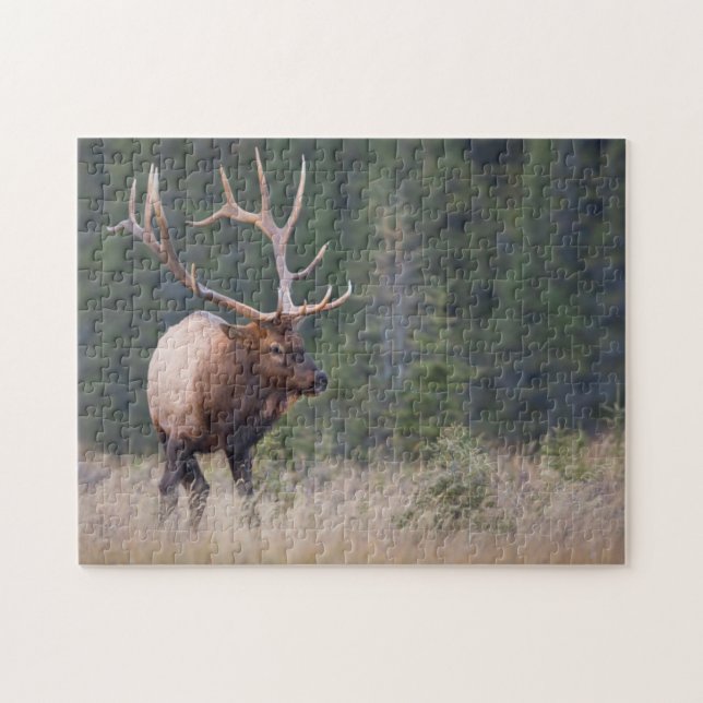 Rocky Mountain Elk Pussel (Horisontell)