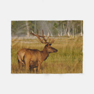 Rocky Mountain Elk Yellowstone National Park Fleecefilt