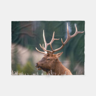 Rocky Mountain Elk Yellowstone nationalpark Fleecefilt
