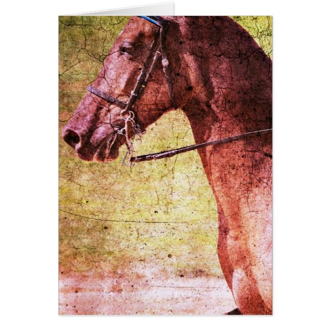 Rocky Mountain Equine Hälsningskort (Framsidan)