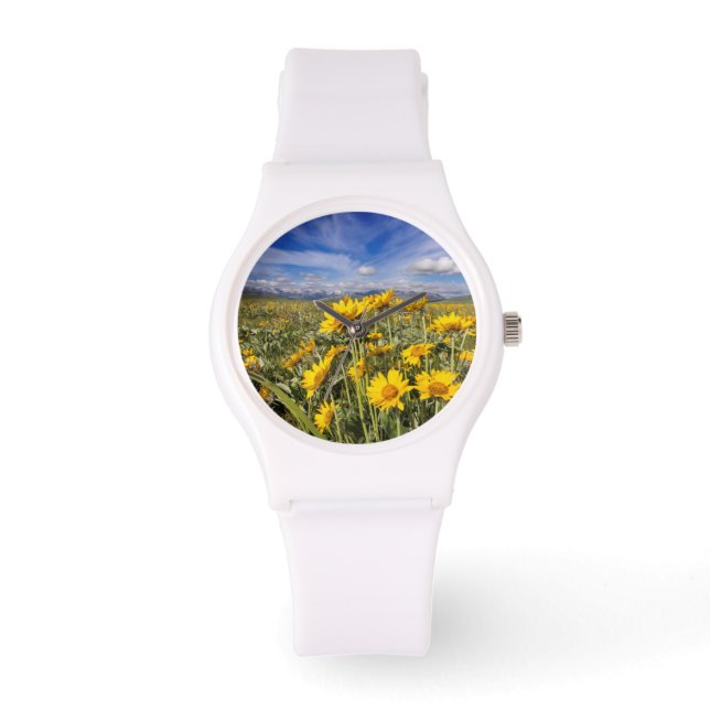 Rocky Mountain Front Range Armbandsur (Framsida)