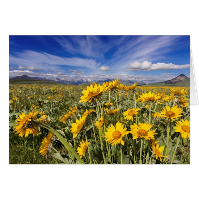 Rocky Mountain Front Range Hälsningskort (Framsidan Horizontal)