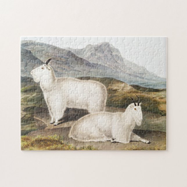Rocky Mountain Goat (Capra Americana) Illustration Pussel (Horisontell)