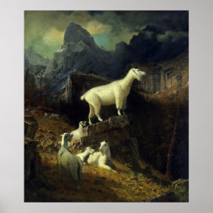 Rocky Mountain Gots Poster