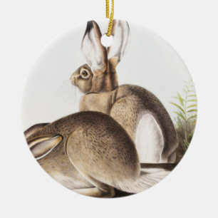 Rocky Mountain Hare (Lepus Townsendii) Julgransprydnad Keramik