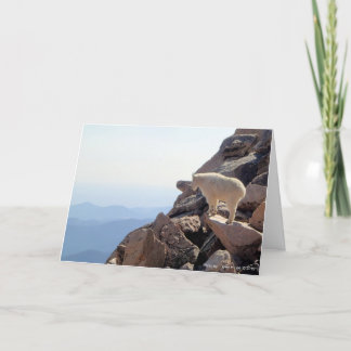 Rocky Mountain High Kort