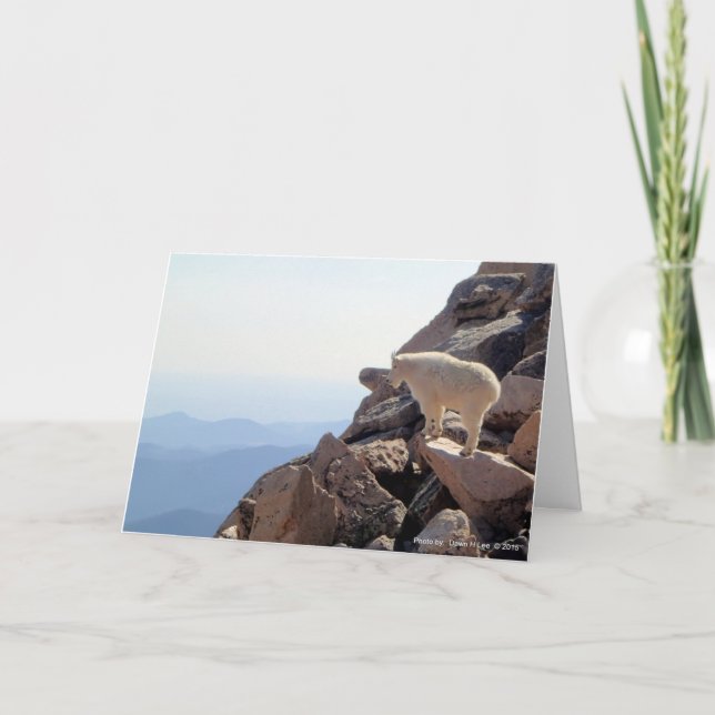 Rocky Mountain High Kort (Framsida)