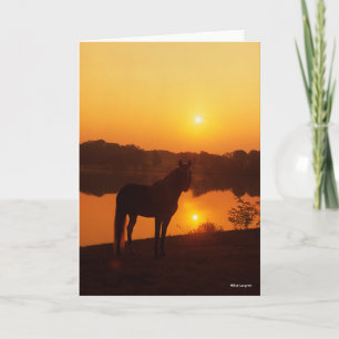 Rocky Mountain Horse Ställande i Sunset Kort