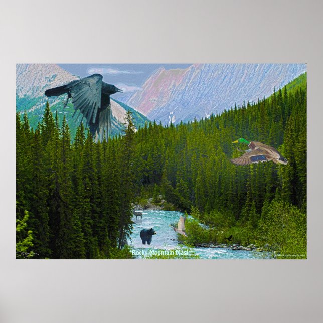 Rocky Mountain Magic Wilderness & Wildlife Art Poster (Framsidan)