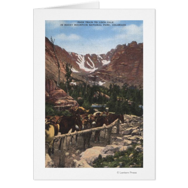 Rocky Mountain National Park, CO Hälsningskort (Framsidan)