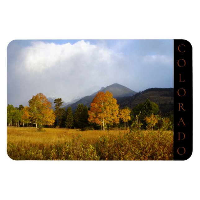 Rocky Mountain National Park Colorado Aspens  Magnet (Horisontell)