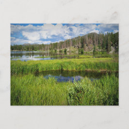 Rocky Mountain National Park, Colorado Vykort