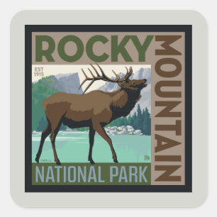 Rocky Mountain nationalpark Elk Fyrkantigt Klistermärke