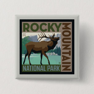 Rocky Mountain nationalpark   Elk Knapp