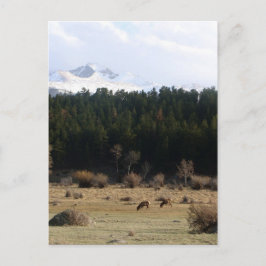 Rocky Mountain nationalpark Vykort