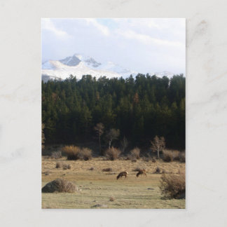 Rocky Mountain nationalpark Vykort