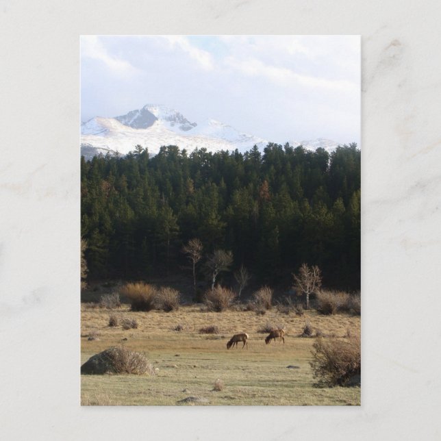 Rocky Mountain nationalpark Vykort (Framsida)