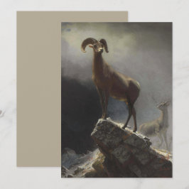 Rocky Mountain Sheep av Albert Bierstadt Julkort