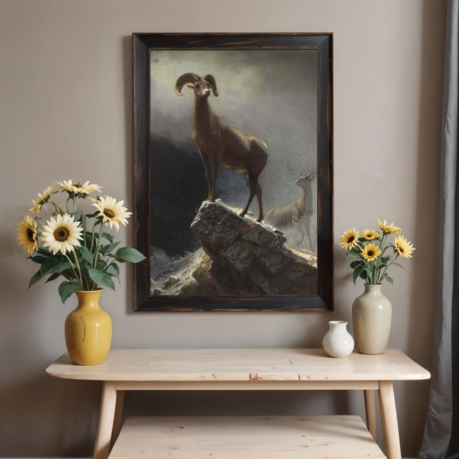 Rocky Mountain Sheep av Albert Bierstadt Poster (Skapare uppladdad)