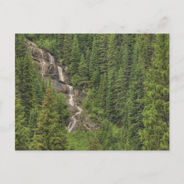 Rocky Mountain Waterfall Vykort (Framsida)