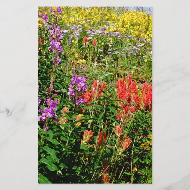 Rocky Mountain Wildblommor (Framsida)