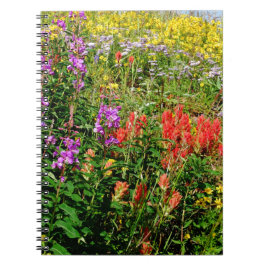 Rocky Mountain Wildblommor Anteckningsbok