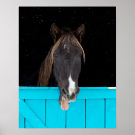 Rocky Mountain Yawn Poster