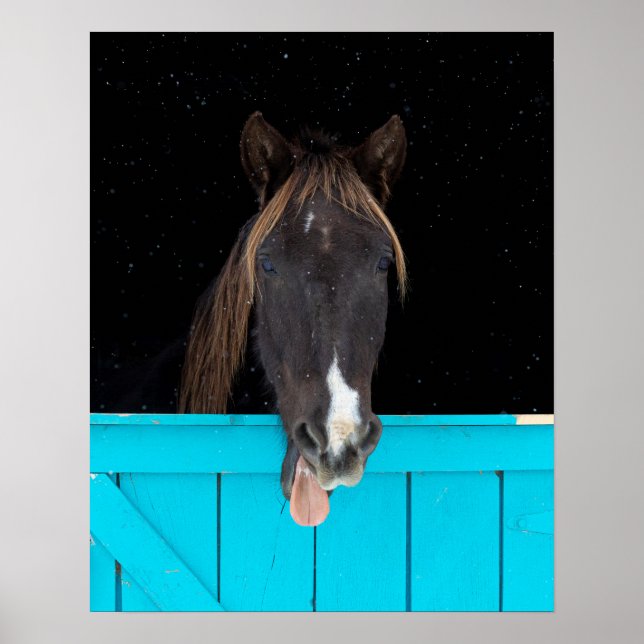 Rocky Mountain Yawn Poster (Framsidan)