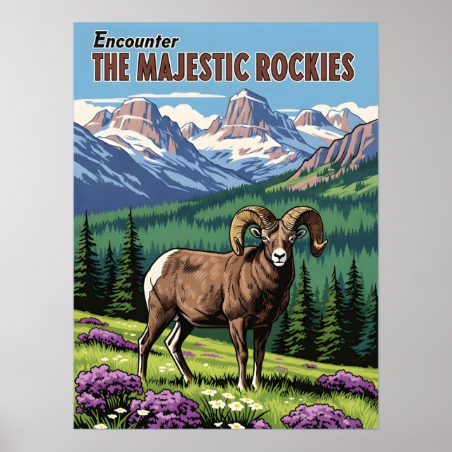 Rocky mountains - Naturliv och natur Poster (Framsidan)