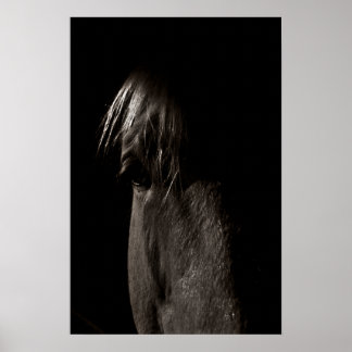 Rocky Poster