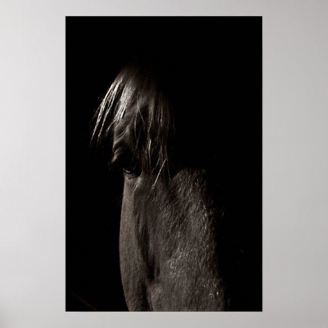 Rocky Poster (Framsidan)