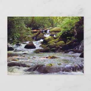 Rocky Rushing Stream - Underbara rökiga berg Vykort