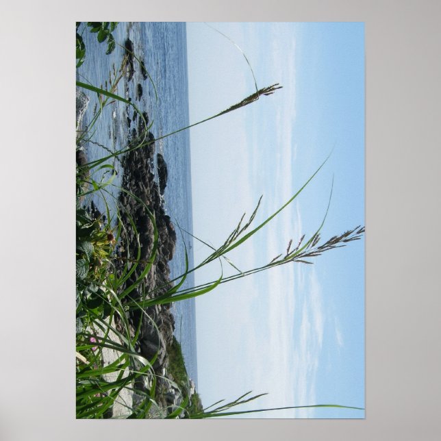 Rocky Shore Poster (Framsidan)