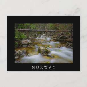 Rocky-skogen bäck i Norge, svart vykort