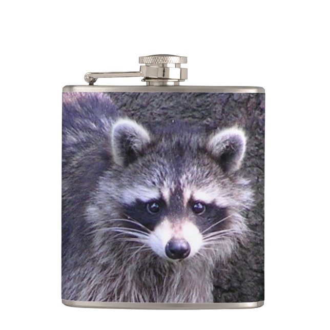 Rocky the Raccoon Fickplunta (Framsidan)