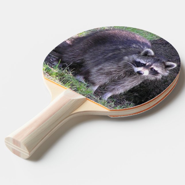Rocky the Raccoon Pingisracket (Ryggvinkel)