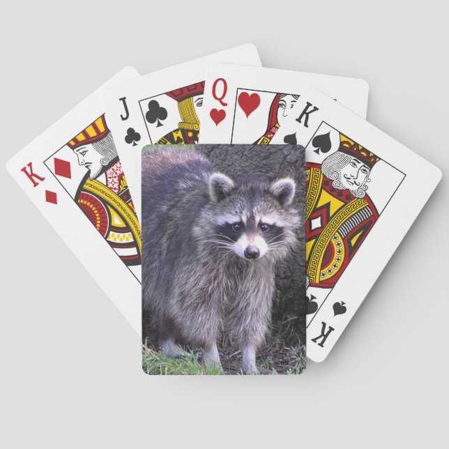 Rocky tvättbjörnen spel kort (Baksidan)