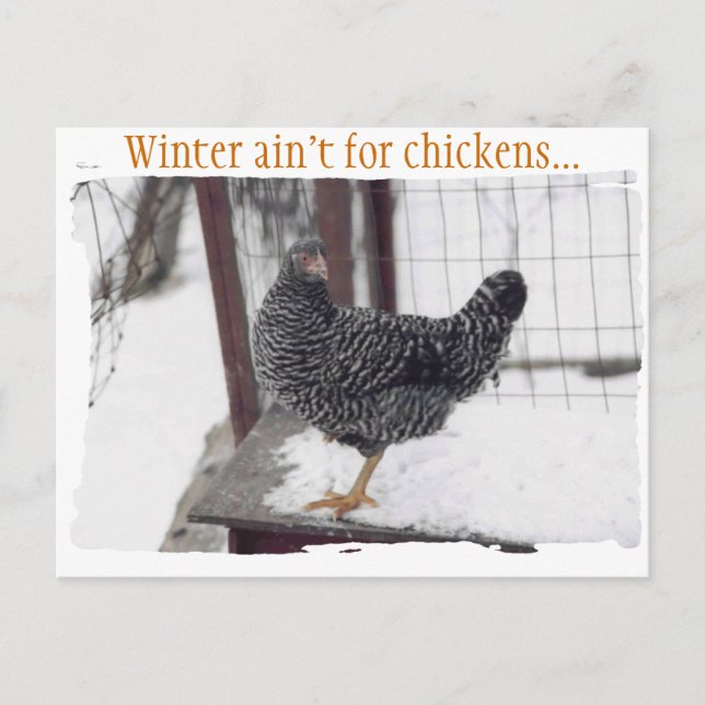 Rocky-vykort Vykort (Framsida)