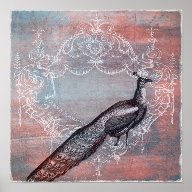 Rococo Fransk Blue & Rosa Peacock Skriv ut Poster (Framsidan)