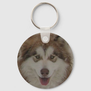 Röd alaskabo Malamutekeychain Nyckelring