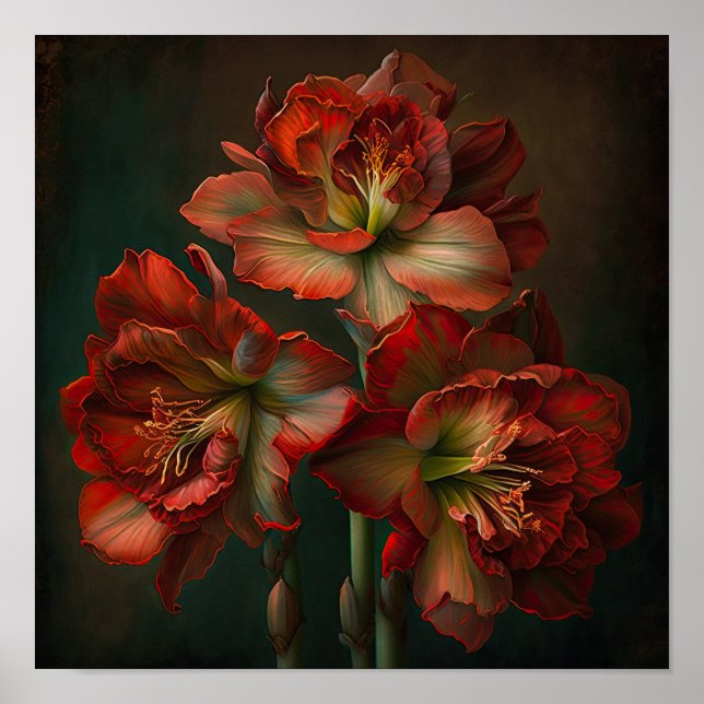 Röd Amaryllis Blomma Konsttryck Poster (Framsidan)